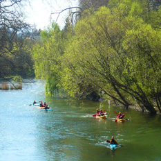 Actividades de primavera