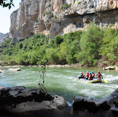 Actividades de verano